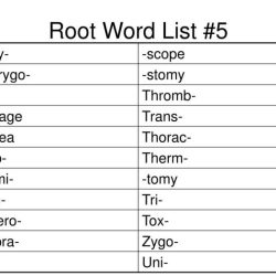 Root word grammar tag prefix conjugation suffix