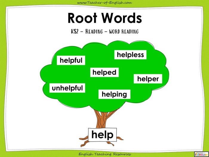 Words with the root word hydr