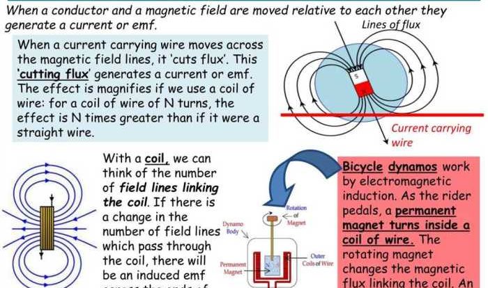 Magnetic induction gizmo answer key