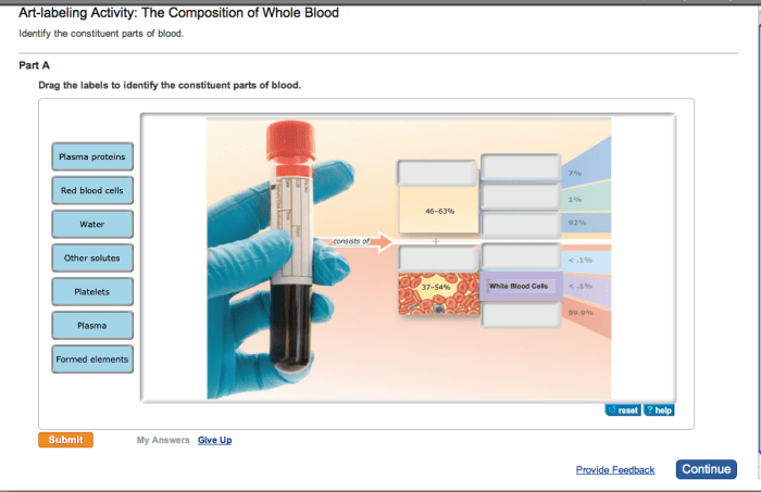 Art-labeling activity: components of blood.