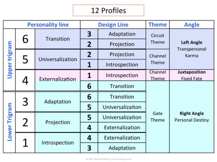 Human design profile 6/2 the exemplary human